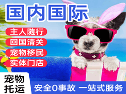 长白山机场物流国际宠物托运 【国